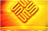 Sun⻯Żҵ