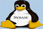 Sybase开拓Linux应用新时代