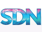SDNʵӵŻ