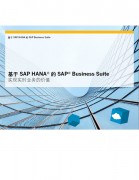 基于SAP HANA的SAP Business Suite实现实时业务的价值