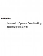 Informatica Dynamic Data Masking˽