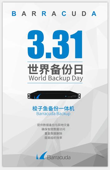 世界备份日如果您丢失了所有文件