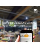 IceMobileCA API Gateway ̲ƷƳʱ