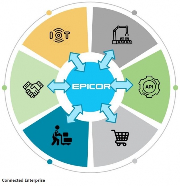 ҵֻת Epicor Insights 2019Ա