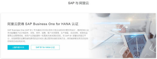 SAP Business One on HANA½