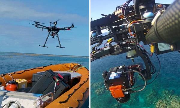 “AI+无人机”双拳出击，拯救面临解体危机的大堡礁