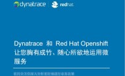 Dynatrace  Red Hat Openshift г΢
