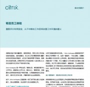 Citrix Workspace 解决方案