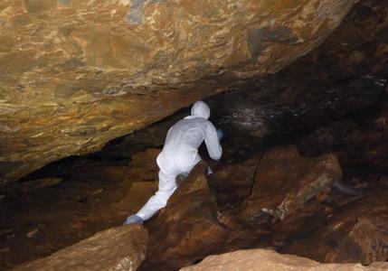 15年前，科学家发现了一个充斥冠状病毒的蝙蝠洞穴