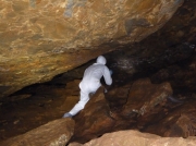 15年前，科学家发现了一个充斥冠状病毒的蝙蝠洞穴