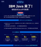 IBM Java ˣӦJavaշ