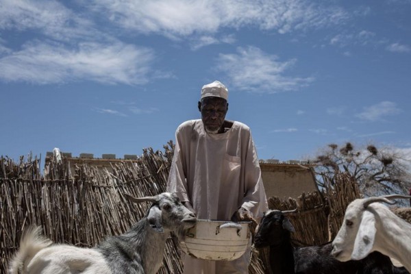 西非牧民正在用AI应对“饥饿危机”