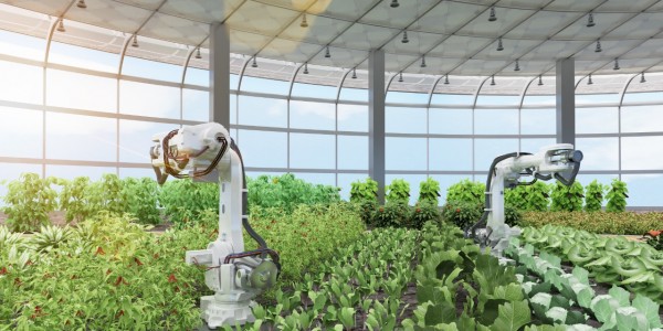 微软宣布开源AI算法以优化农场运营