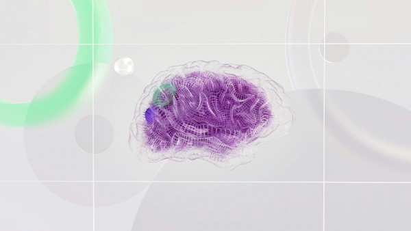 尽管AI军备竞赛激烈,但多模型共存的未来已成定局