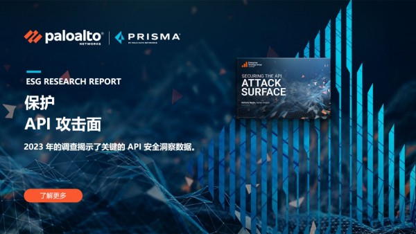 保护 API 攻击面