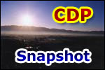 CDP���Ҳ��ǿ��գ����书����