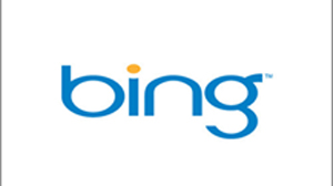 ΢Bing12.5%
