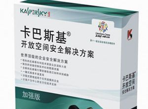 ����˹�����ſռ���������ǿ������