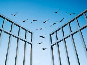 10���������缼�����µĿ�Դ��Ŀ