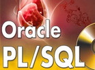 ̸̸Oracle&nbsp;PL/SQLѭ