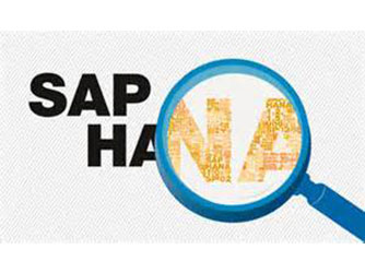 OnapsisSAP HANAȫ
