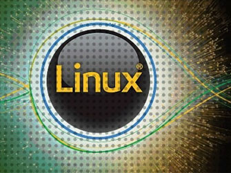 IBMLinuxʱ1210ԪͶ
