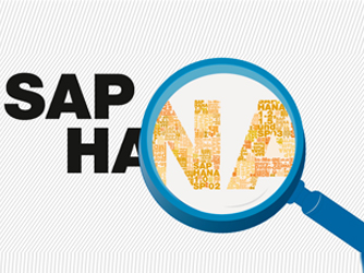 SAP HANAˮǴ ڴ̴