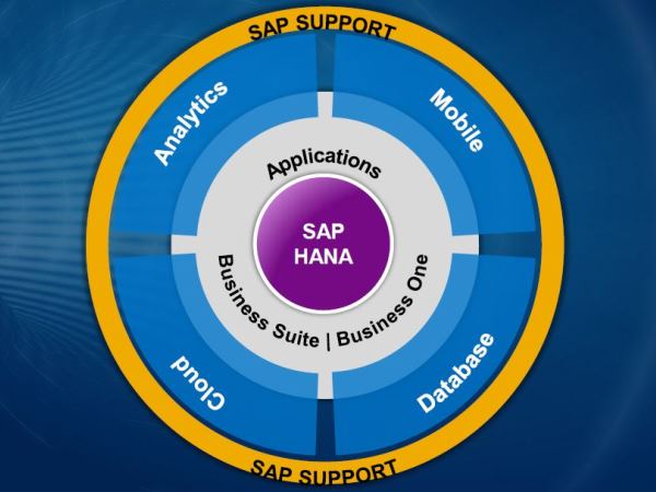 SAP HANA׼ͳݿ  