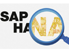 SAP HANA�븴����չ������������о�