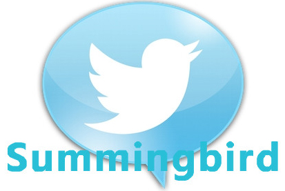 Twitter��ԴSummingbird �޷�������������������