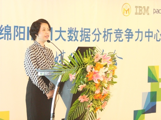 IBM���Ĵ��������������ݷ�������������