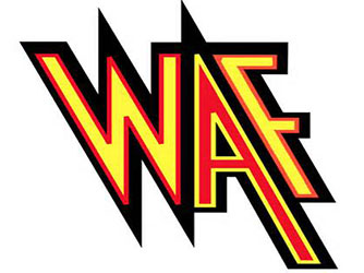 ţǳ̸WAF