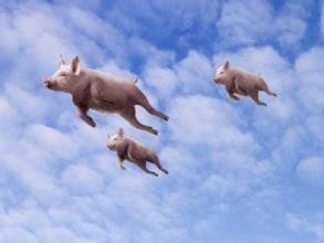 վ�ڷ�� �й���������+����չ����ʱ