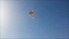 SpaceX�Էɻ�����б�ը ��˹�˳ơ���Щ���֡�