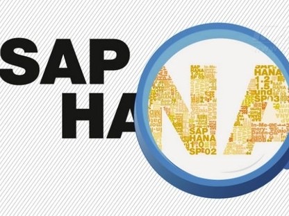 SAPƲģʽSAP HANAҵ