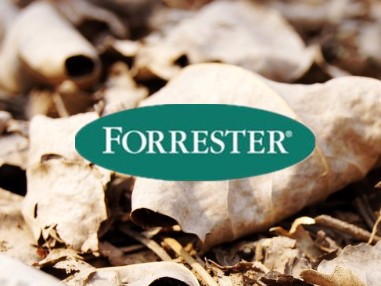 Forrester˹ŵ¼Ƽʧ470Ԫ Ԥ