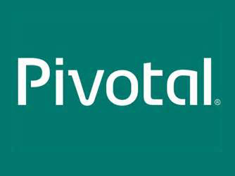 ϢPivotalԱ Ϊҵ