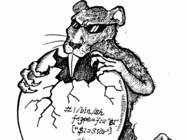 ƿǡ©(CVE-2014-6271)ۺϷ