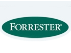 Forrester2020깫гģͻ1910Ԫ