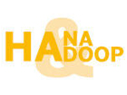 SAP°HANA Hadoopа
