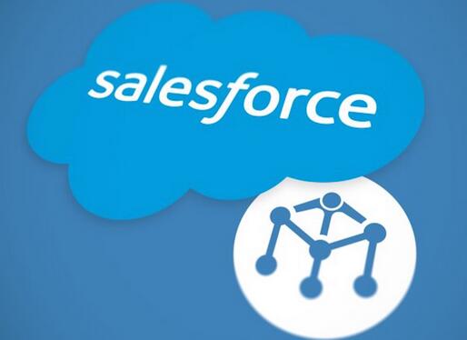 SalesforceƶԱȫ˹ֹ֧