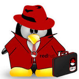 ñȫ콢LinuxϵͳRHEL 7.3