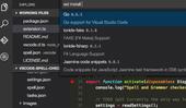 ΢ԴVisual Studio Code༭