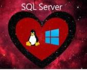 ΢LinuxWindowsSQL Server 2017׸Ԥ汾