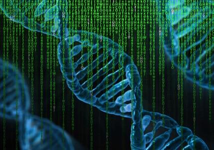 终极存储解决方案：把ZB级海量数据写在DNA上