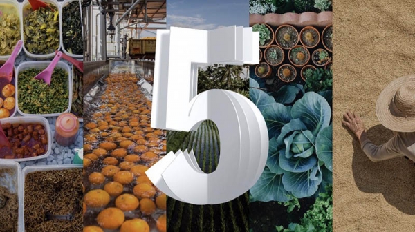 �����ӵ����� ��IBM���¼��������δ�������ڸı�ʳƷ��Ӧ����ÿ������
