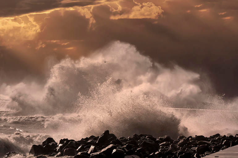 IBM��˾�ƶ�AI��Я��������Ԥ��ϵͳ��������Raspberry Pi�豸֮��