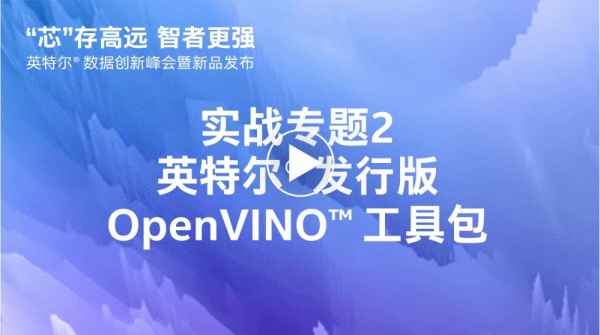 Ӣ�ض�® ���а�OpenVINO™���߰�
