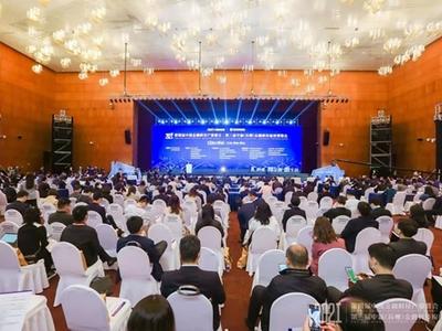 2021第四届中国金融科技产业峰会|第三届中新(苏州)金融科技应用博览会顺利举办