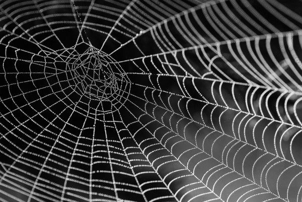 Web3�����޴����ڵ����ӵ��ɾ�ÿ���˵ļ�ֵ